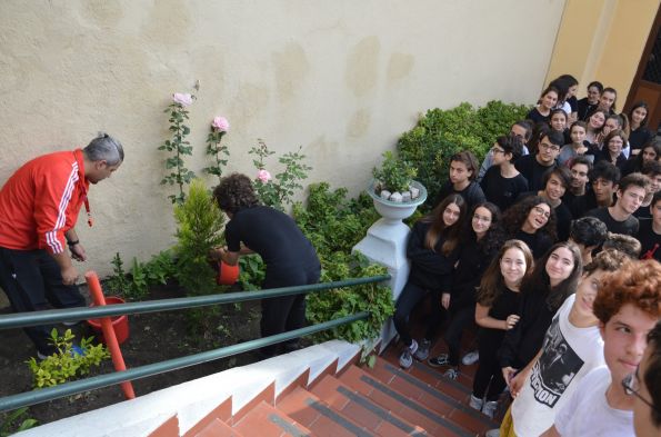 11 Milyon adet fidan