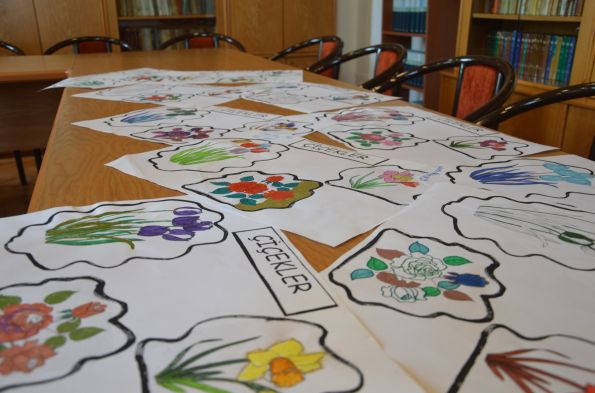 Çiçekler ve Kediler