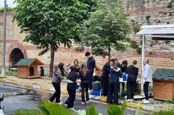 Kulübü Yedikule Hayvan Barınağı -2024