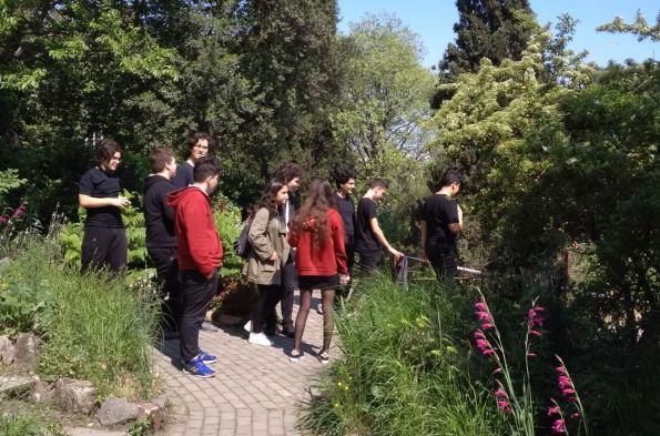 İstanbul Üniversitesi - Botanik Bahçesi