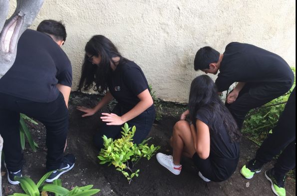 Her Seferinde Yemyeşil Bir Dünyaya