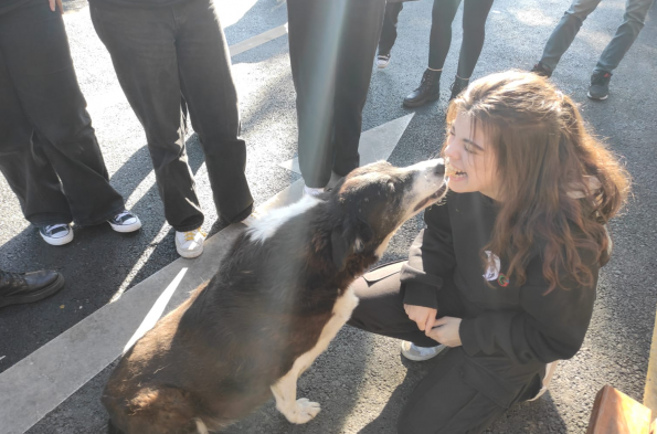 Sosyal Dayanışma ve Yardımlaşma Kulübü - Kutuda Mama