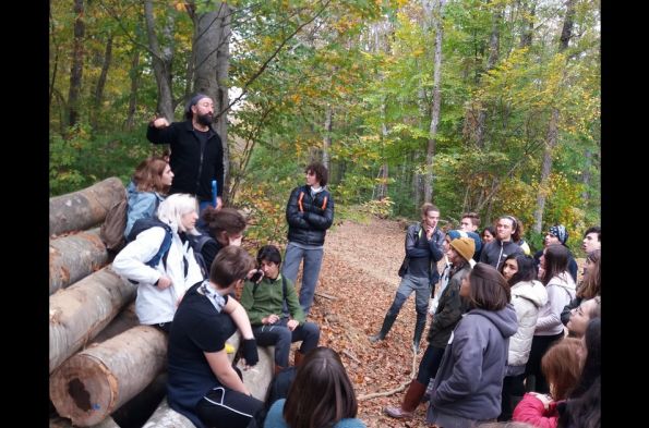 İğneada Longos Ormanları