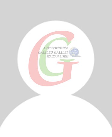 MARIA SALETTA ANGOTTI